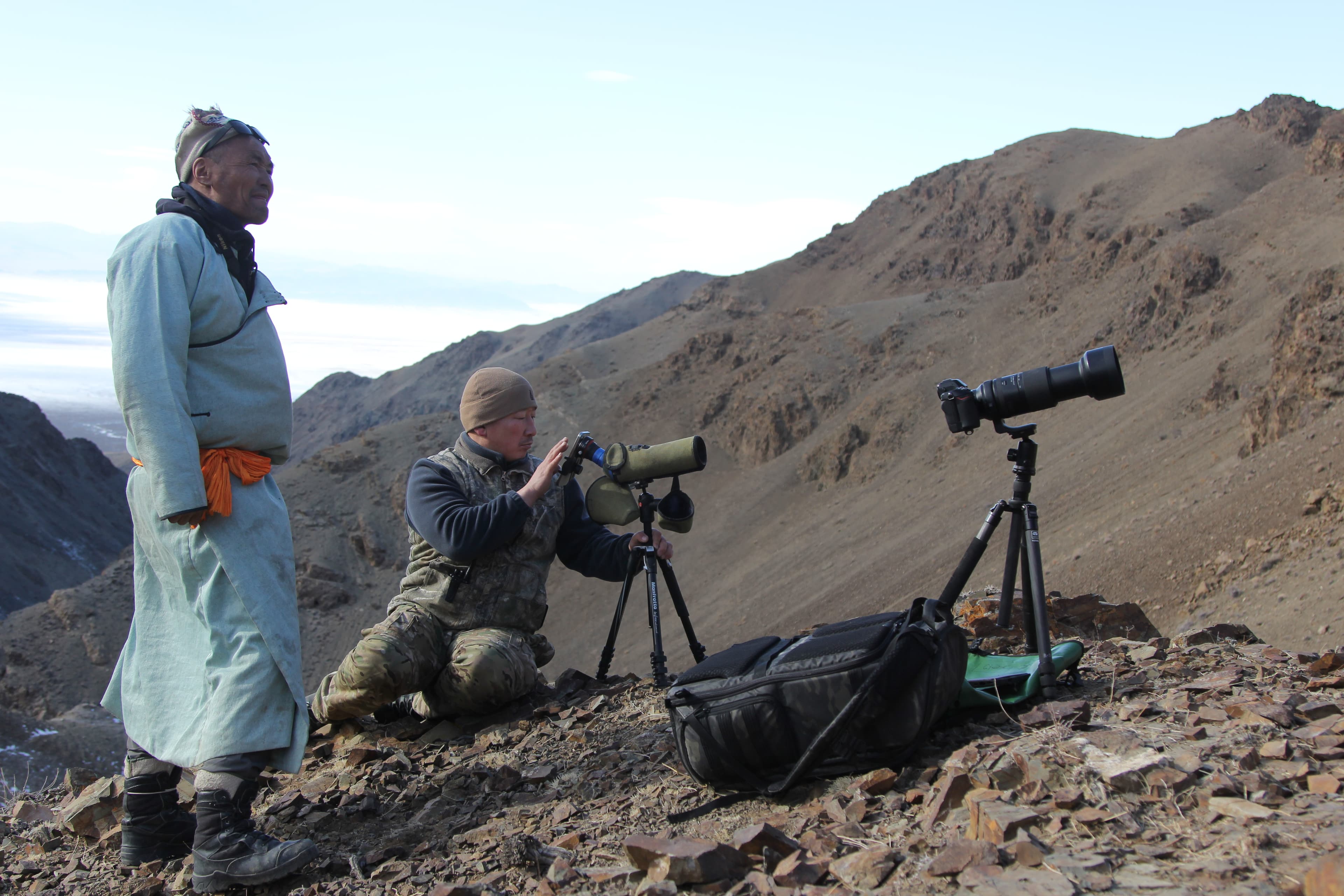 Snow Leopard, Pallas's Cat and Saiga Antelope