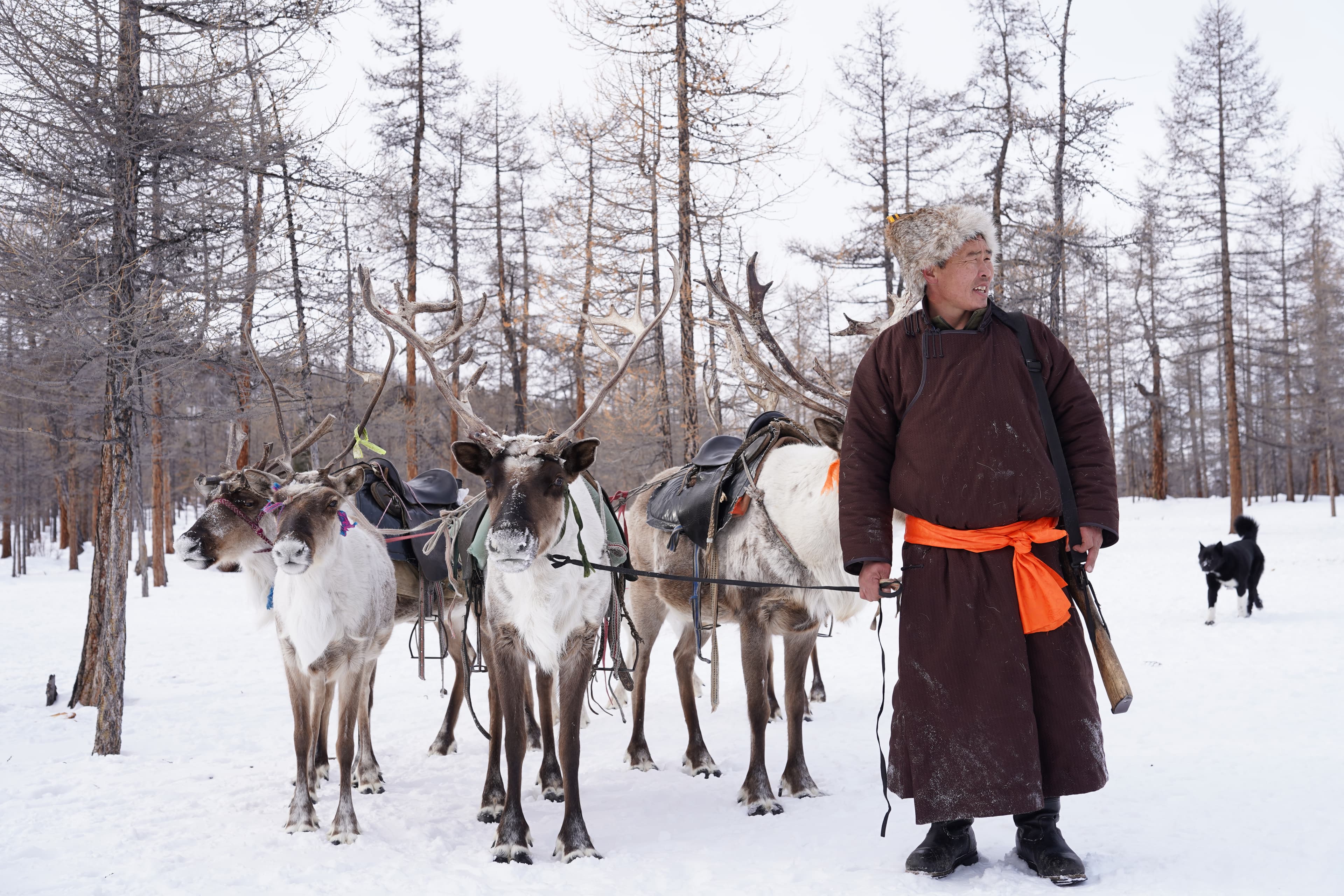The Tsaatan People — Mongolia's Last Reindeer Herders