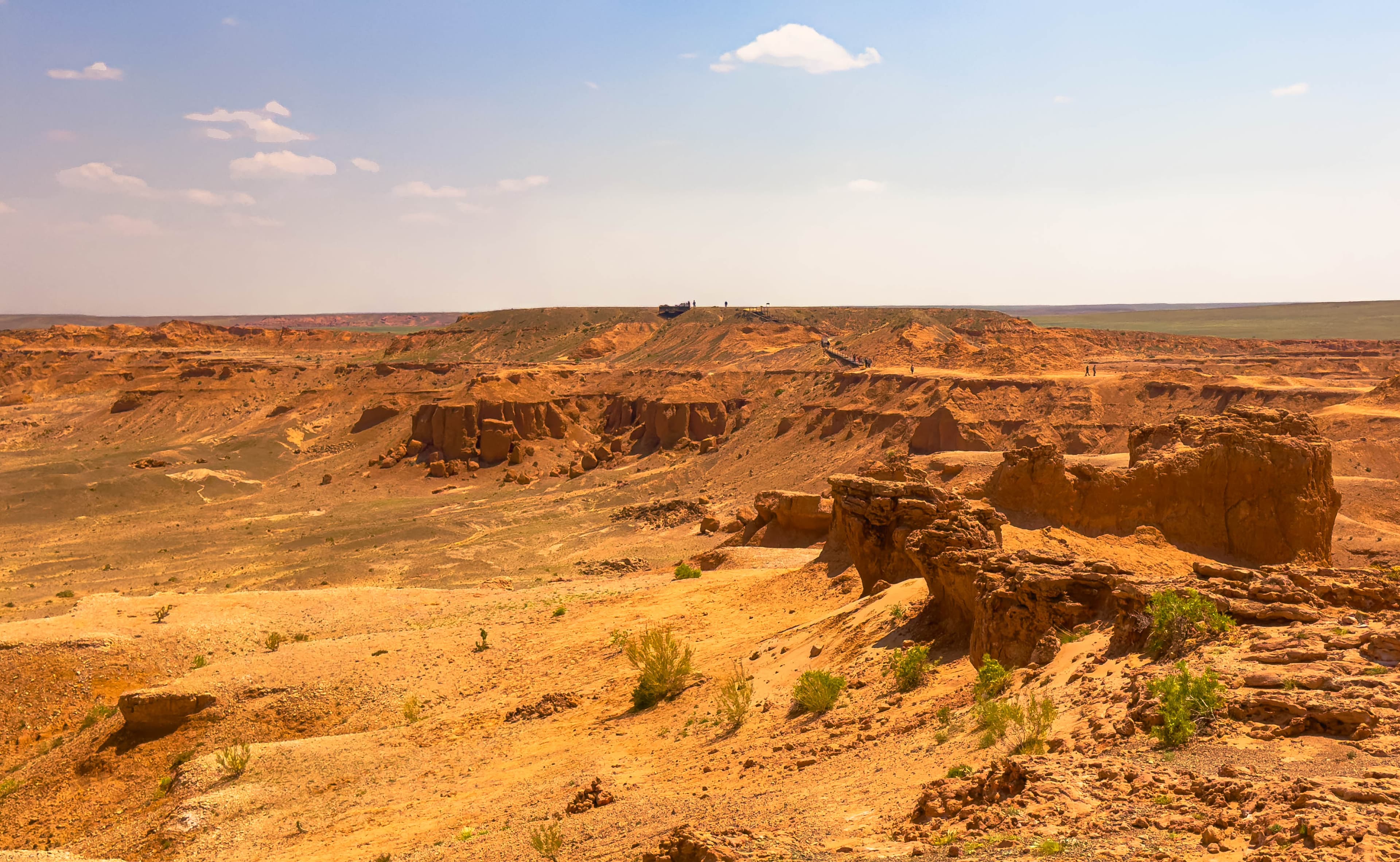 Bayanzag - Flaming Cliffs