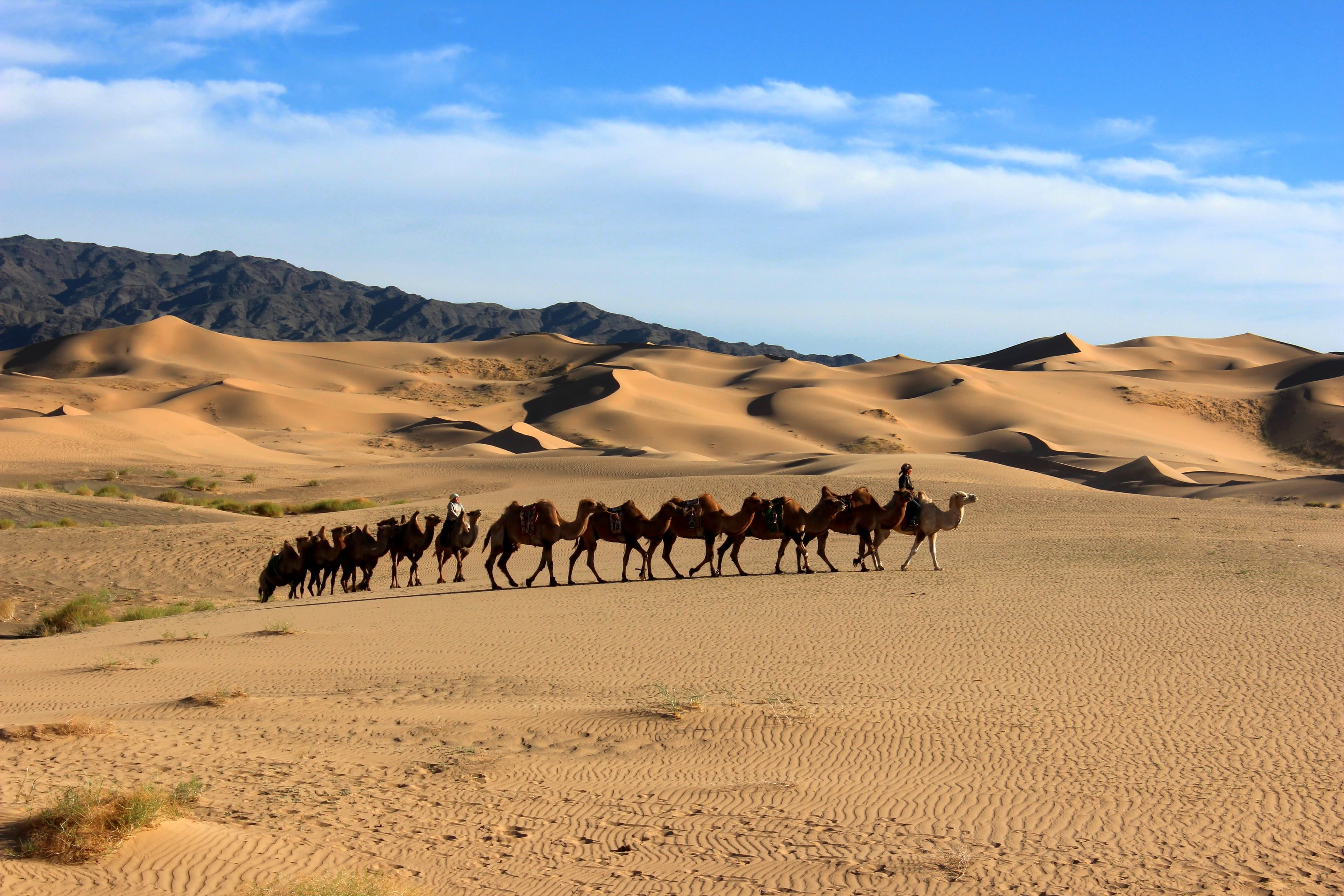 Gobi Desert & Horse Trekking to 8 Lakes