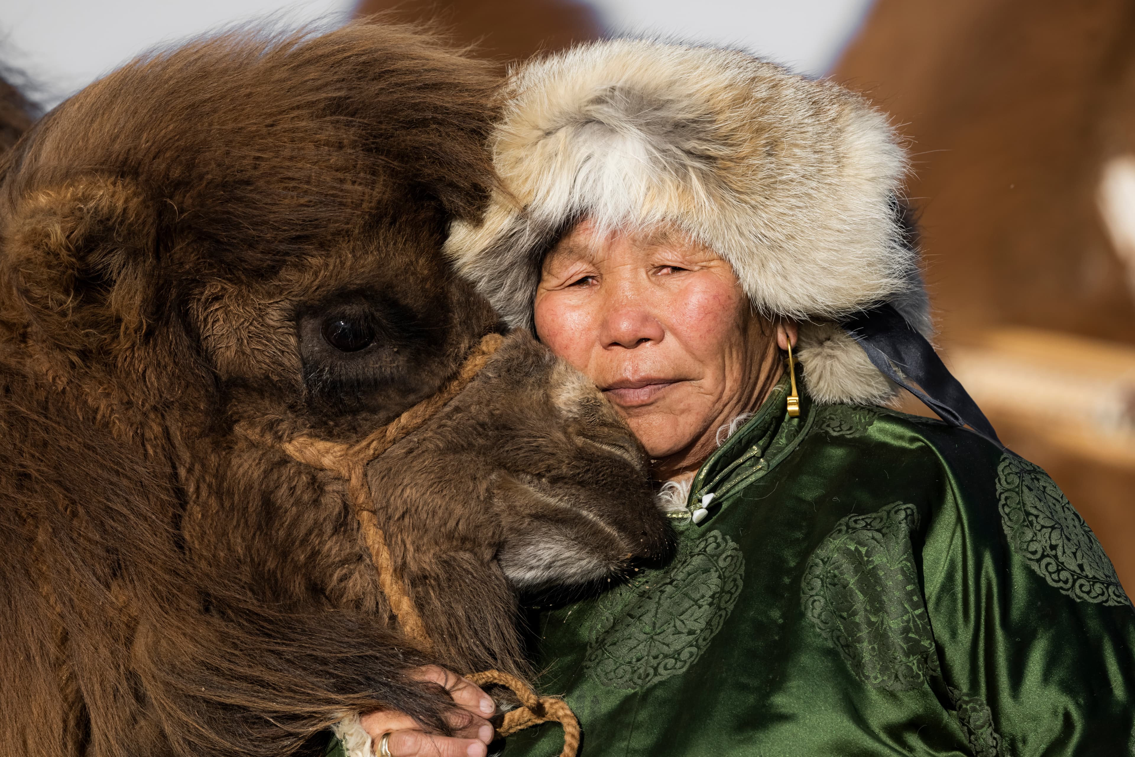 Gobi Desert - 7 days tour