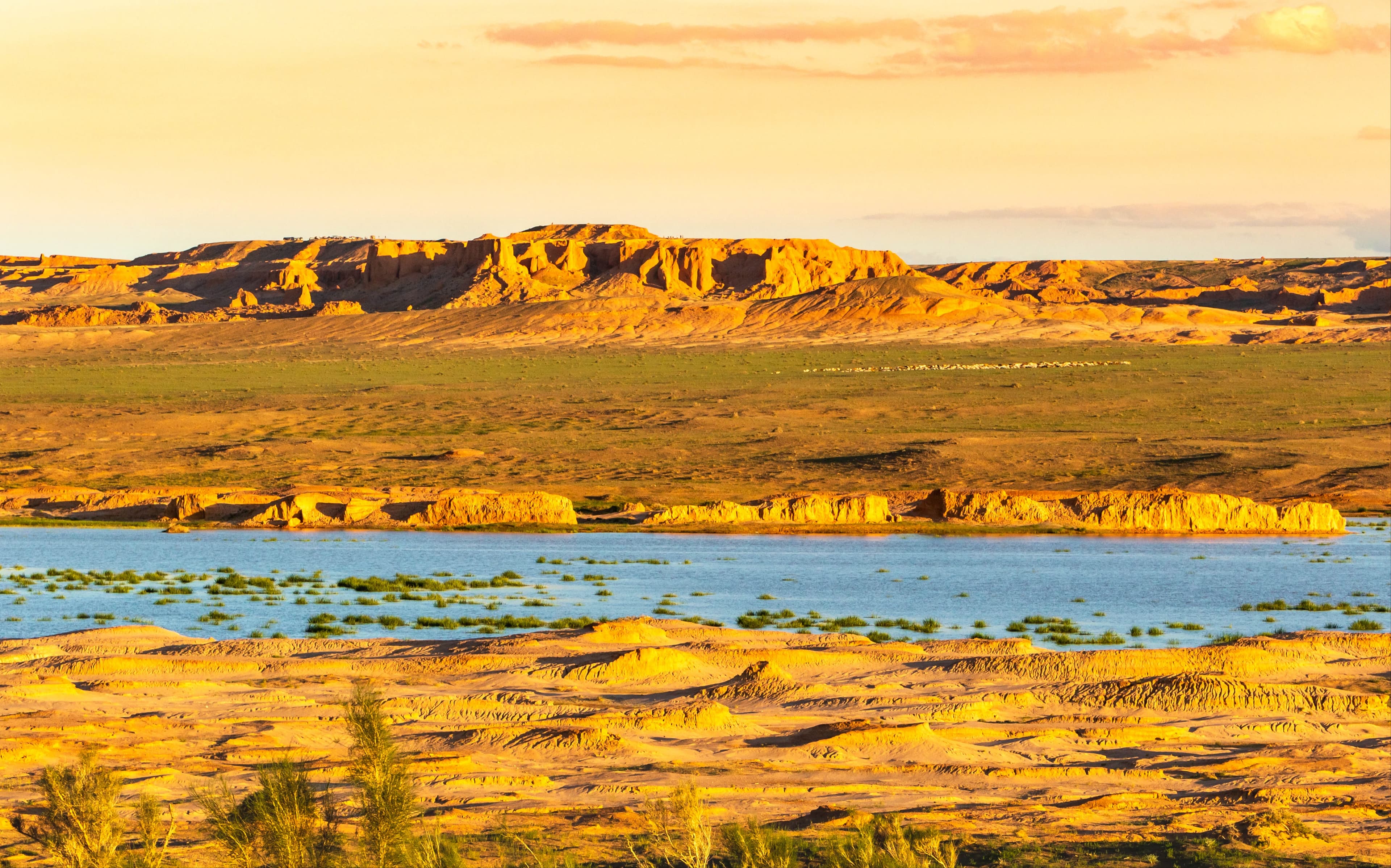 Bayanzag - Flaming Cliffs