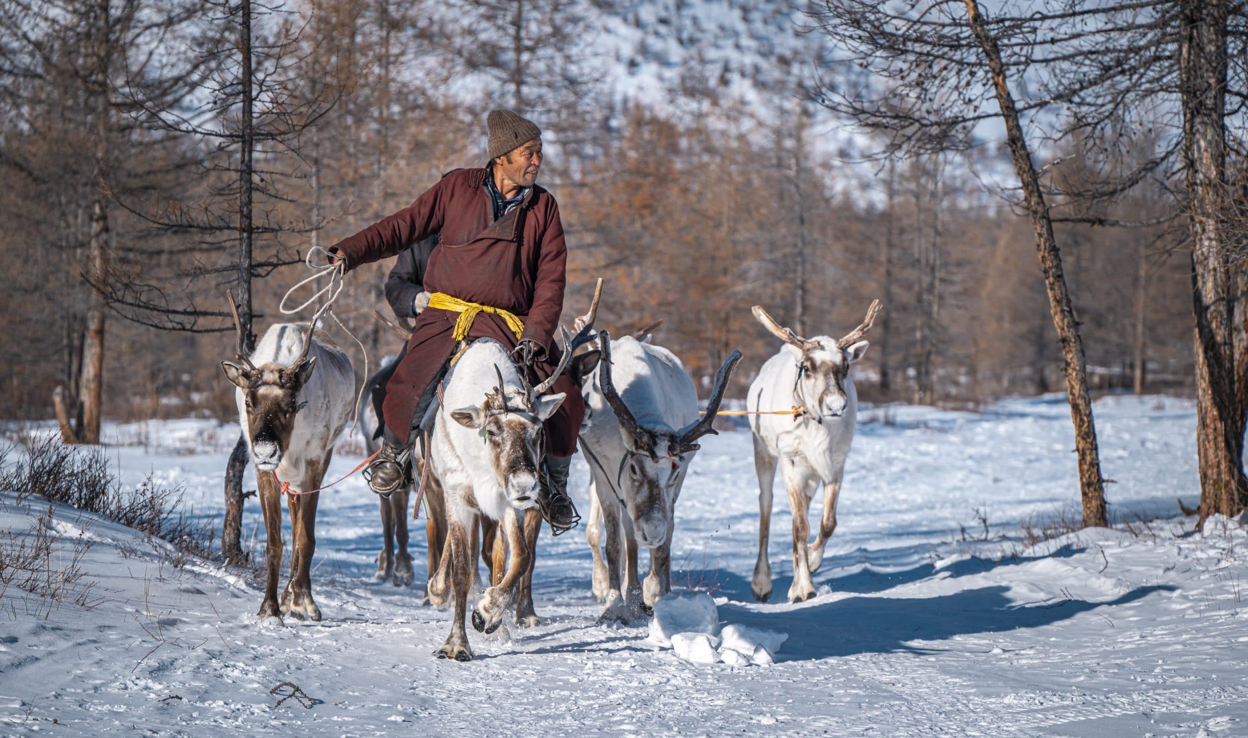 Reindeer herders